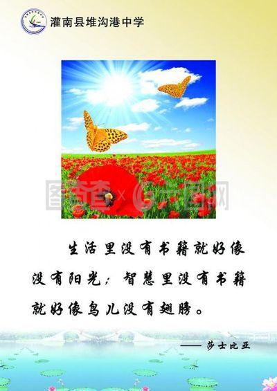 校园文化展板图片