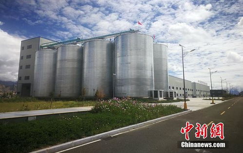助力乡村振兴 西藏青稞产品助农惠民活动拉开序幕