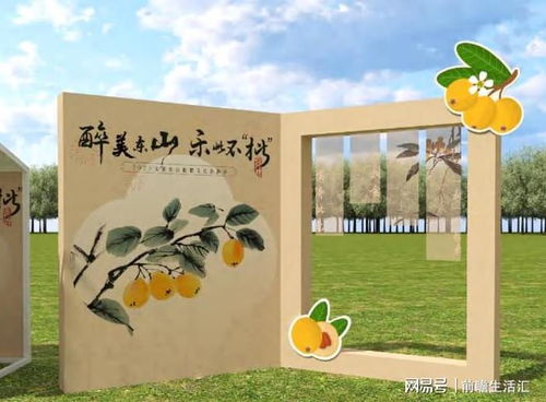 2025太湖东山枇杷文化旅游季限定打卡指南,速存
