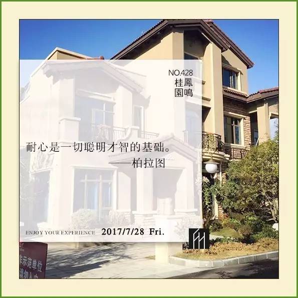 阳光文化 王华 阳光企业 造福社会