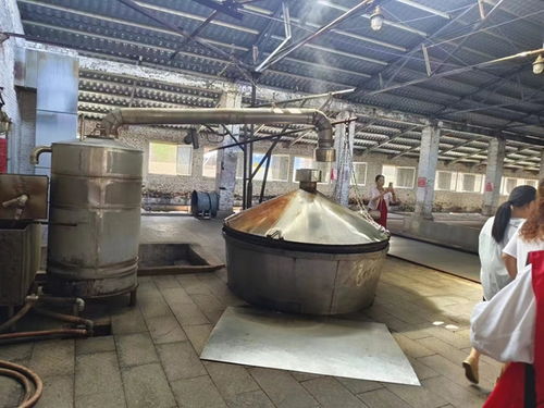 烟台智汇高新雷锋志愿者大队走进 醉 美古酿酒厂 体验烟台名片文化