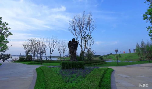 小长假去哪玩 景区赛龙舟 阳光半岛端午龙舟文化节邀您登岛度假