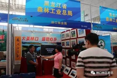 林口局文化产品亮相第十二届黑龙江国际文化产业博览会，阳光文化绽放风采