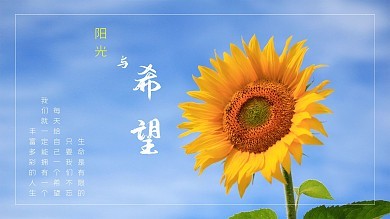 阳光向日葵与阳光文化