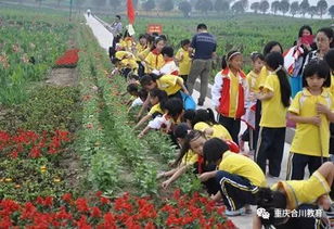 均衡教育 特色学校 云门小学 阳光 文化
